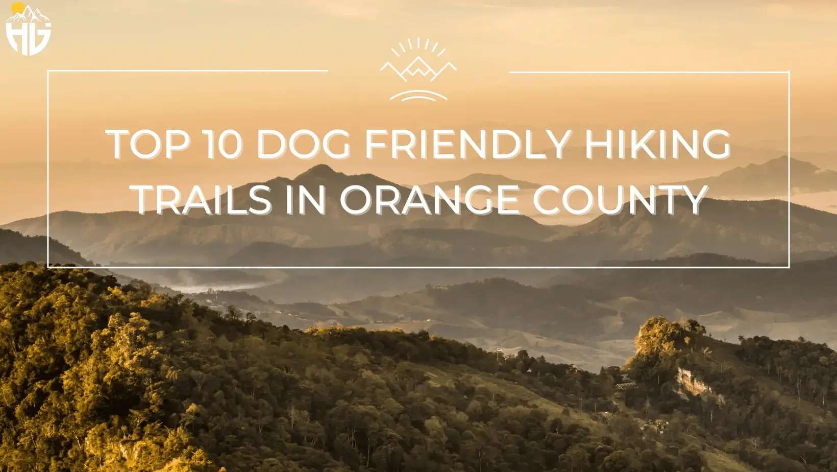 Top 10 Dog Friendly Hiking Trails in Orange County