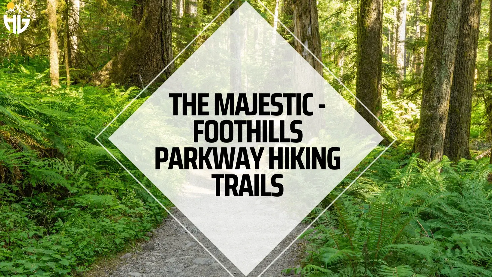 The Majestic - Foothills Parkway Hiking Trails