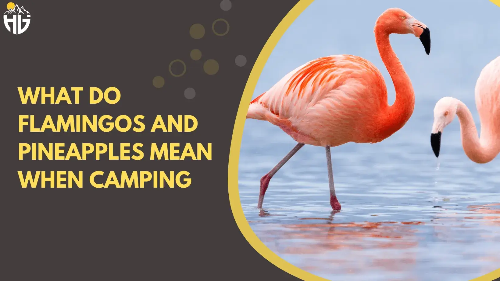 What Do Flamingos And Pineapples Mean When Camping