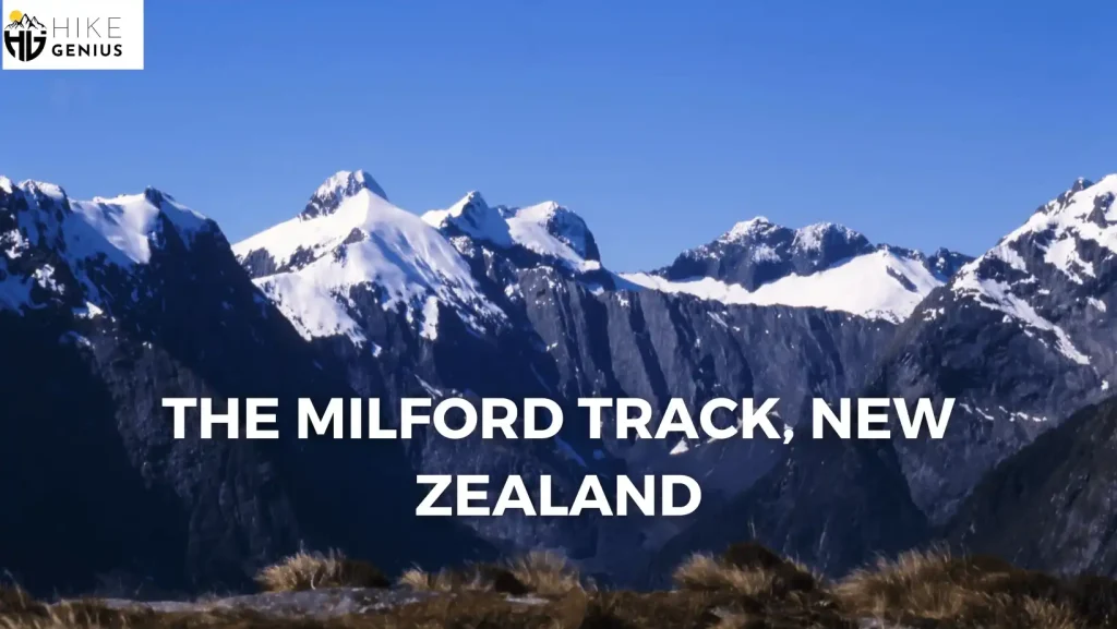 the-milford-track-new-zealand-switchbacks-in-hiking