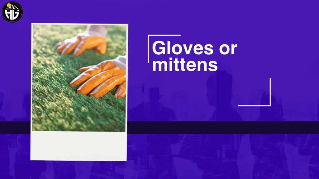 Gloves or mittens