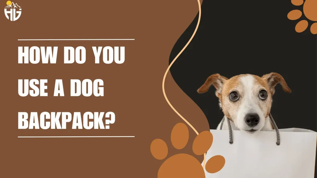 how do you use a dog backpack?
