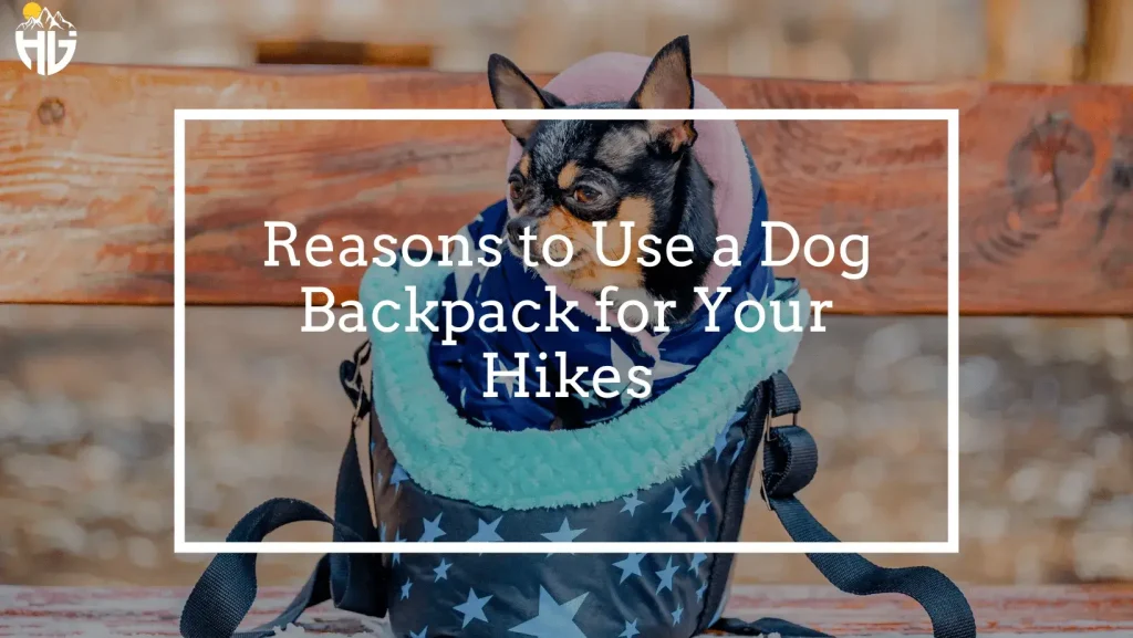 Reasons to Use a Dog Backpack for Your Hikes