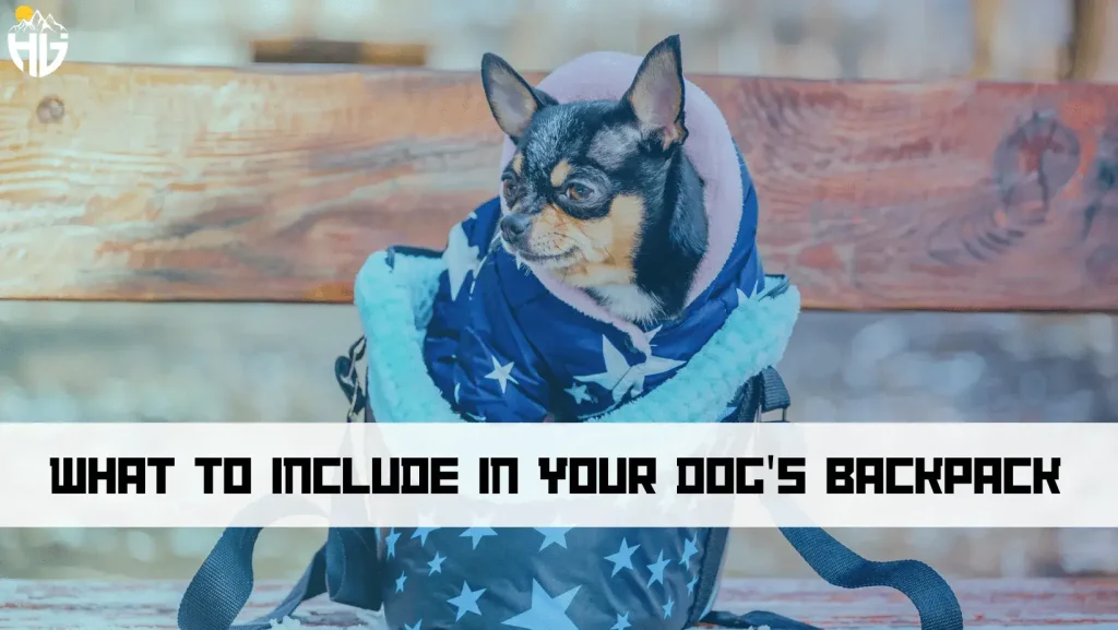 What to Include in Your Dog's Backpack