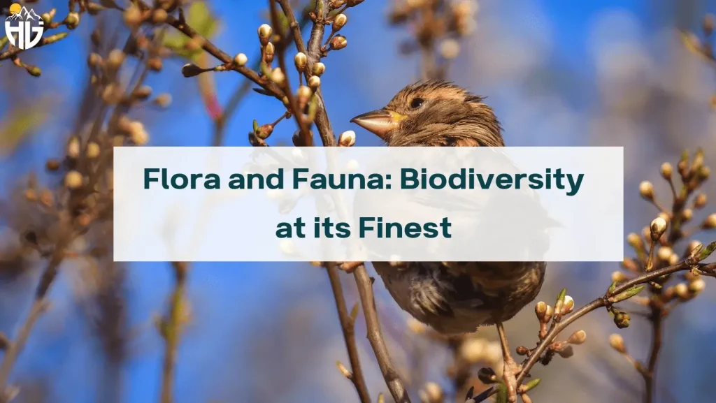 Flora and Fauna: Biodiversity at its Finest