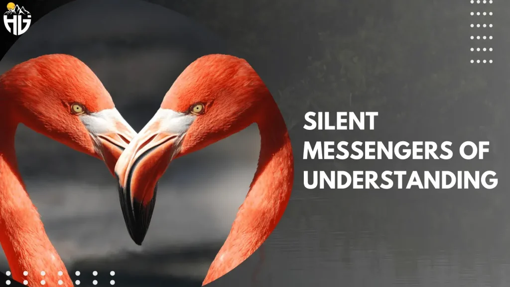 Silent Messengers of Understanding