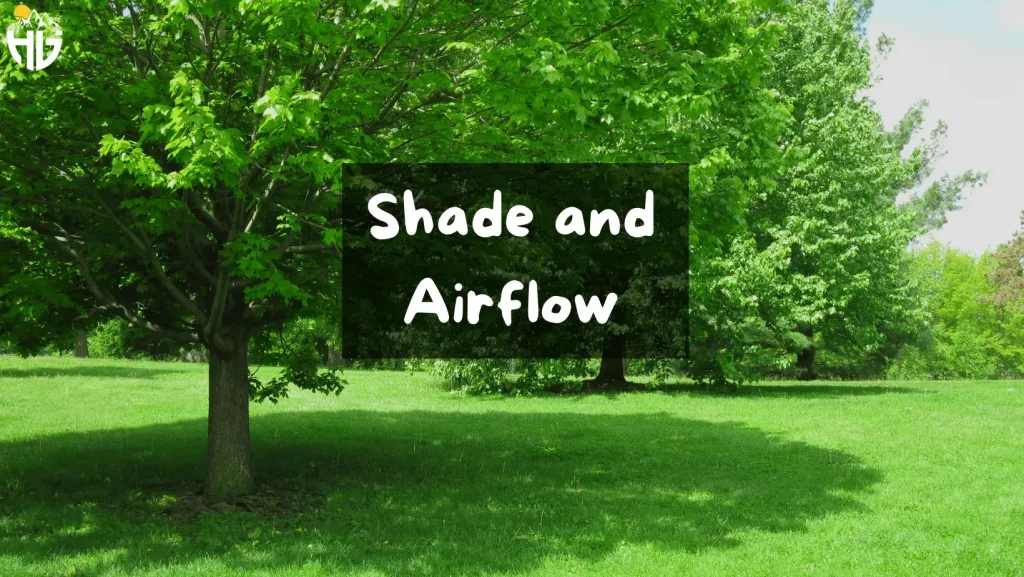 Shade and Airflow for Comfort heat in camps