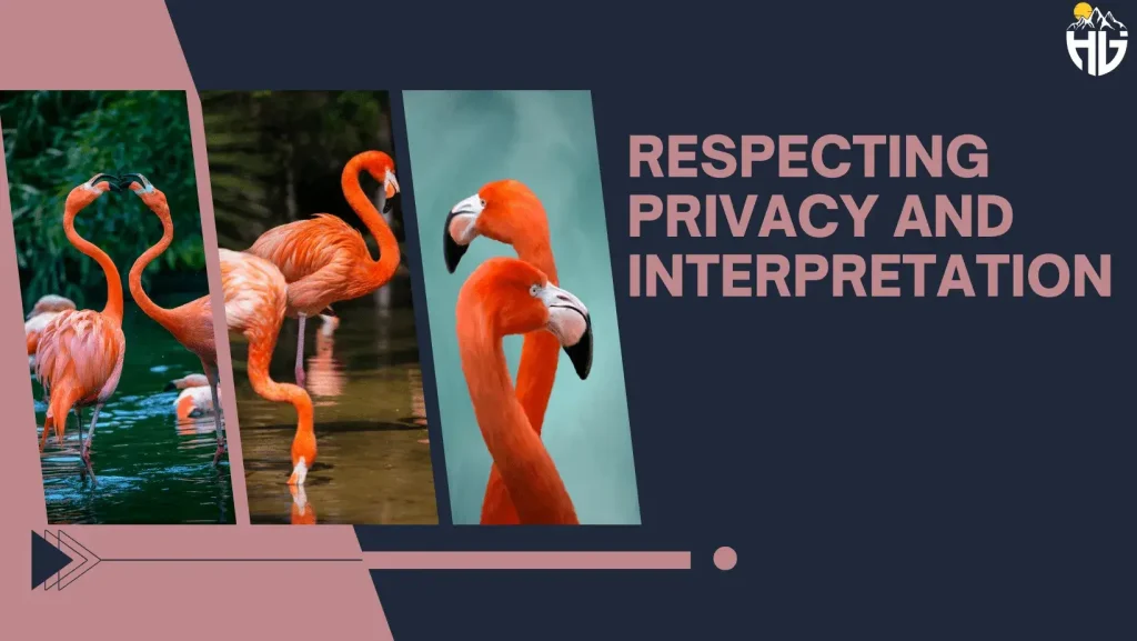 Respecting Privacy and Interpretation